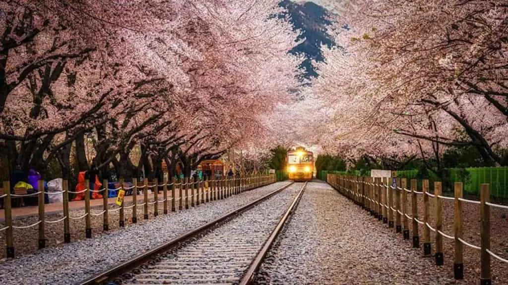 15 Tempat Wisata Korea Terbaik Sepanjang 2023: Alasan Menjadi Pilihan Terbaik