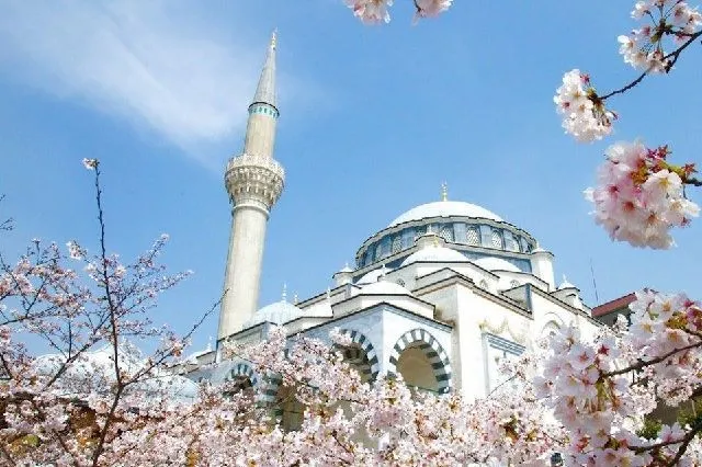 Perbedaan Tour Jepang Halal dan Tour Biasa: Penasaran?