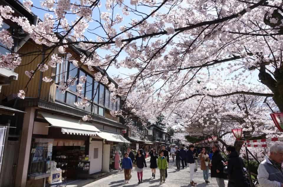 4 Daya Tarik Trip Jepang yang Dirindukan Wisatawan