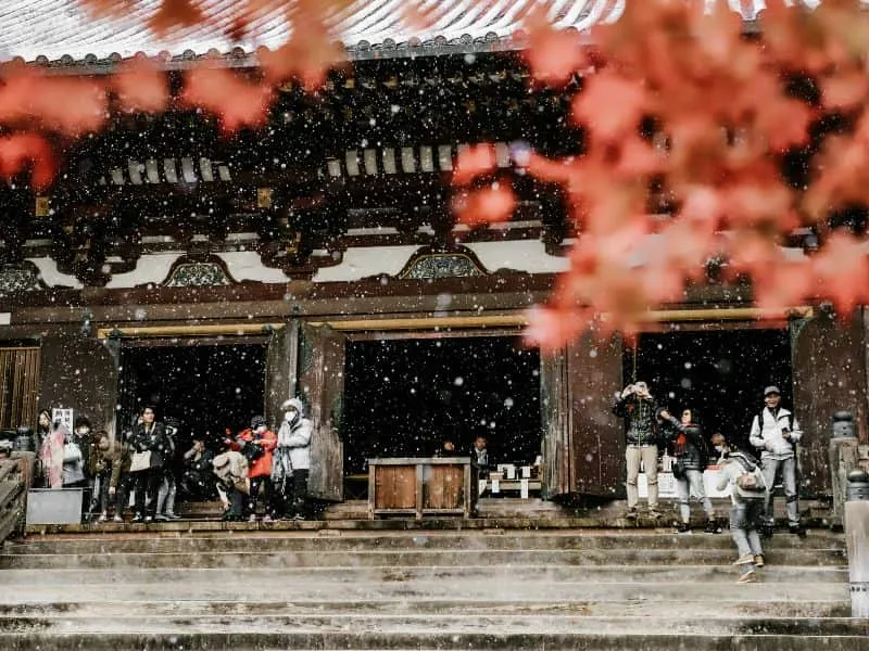 Agen Travel Jepang Terbaik di Jakarta – Mulai 17 Jutaan!