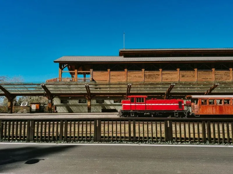 Alishan Taiwan: Sunrise dan Kereta Wisata Populer