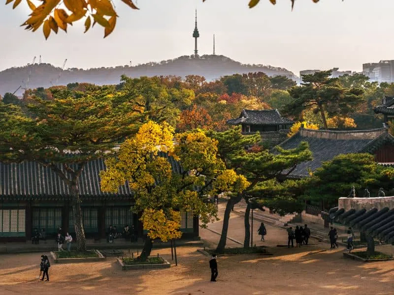 Apa Musim Sepi di Korea? Hemat Budget Mulai 11 Jutaan!