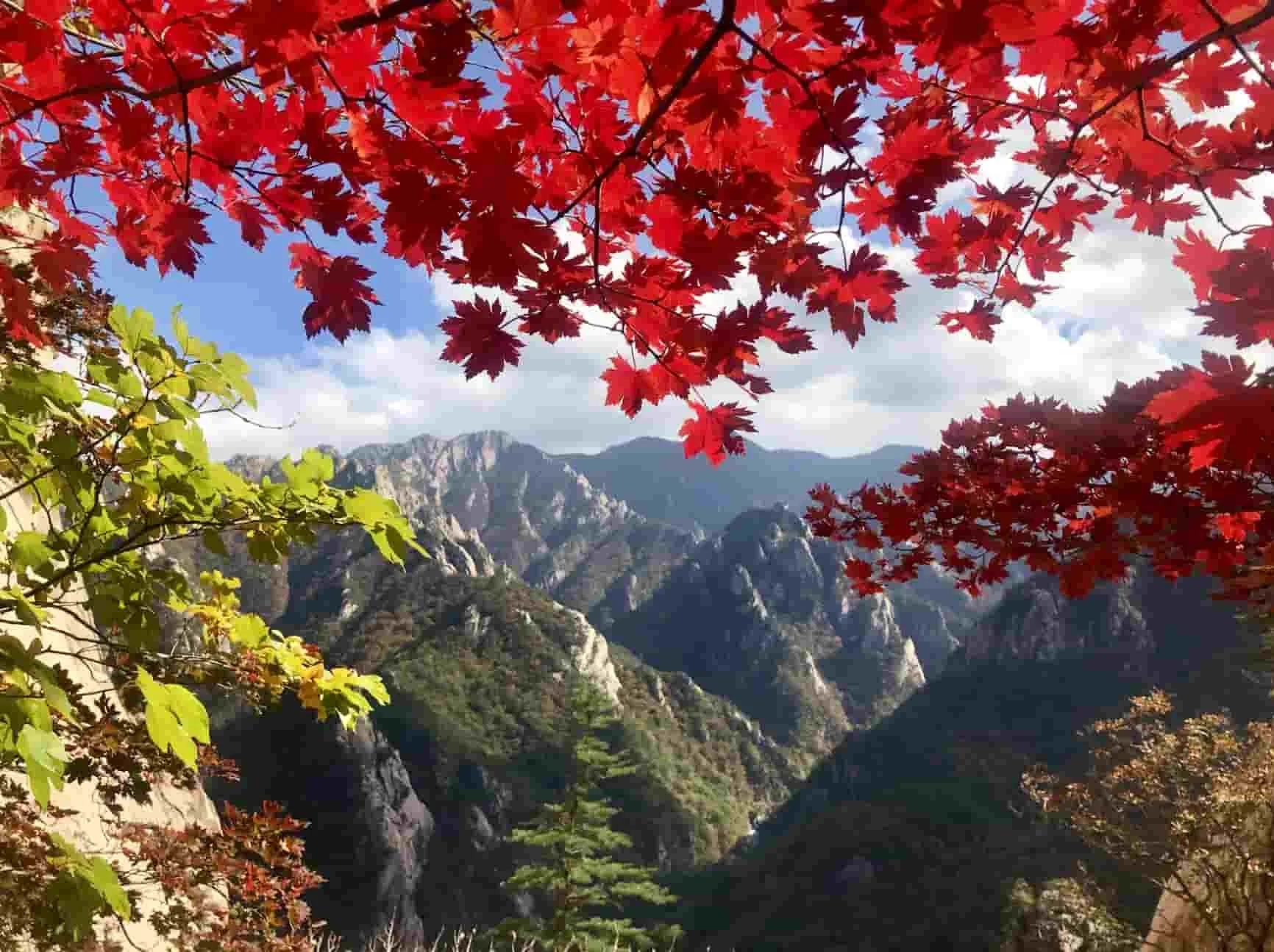 Biaya Tour Ke Korea 2023: 5 Destinasi Wisata di Sokcho Korea Selatan, Traveller Harus Kesini!