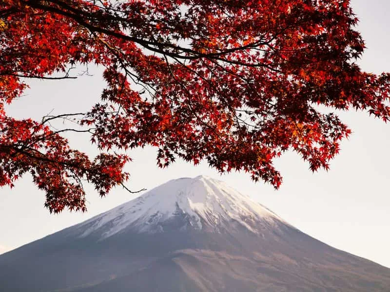 Itinerary Jepang 5 Hari Hemat untuk Liburan Singkat
