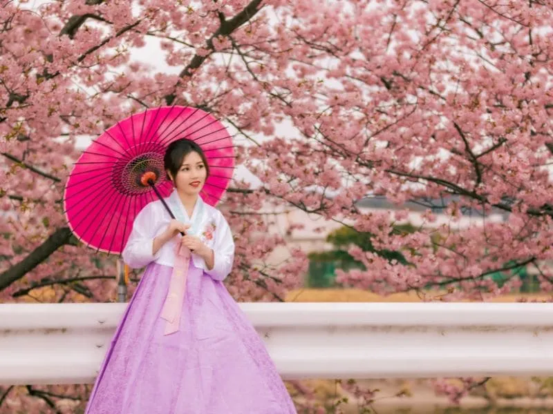 Bulan Mei di Jepang Musim Apa?
