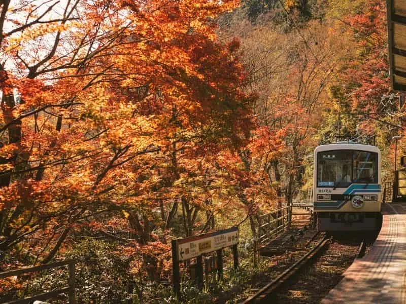 Bulan Oktober di Jepang Musim Apa? Ini Penjelasannya