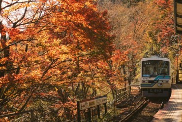 Bulan Oktober di Jepang Musim Apa? Ini Penjelasannya