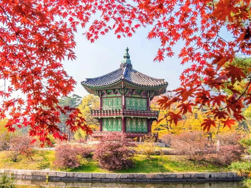 Callista Tour Korea – Paket 2025 Mulai Rp11 Juta!