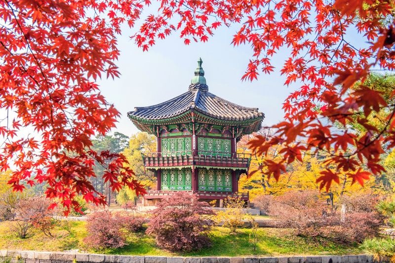 callista-tour-korea_large.jpg