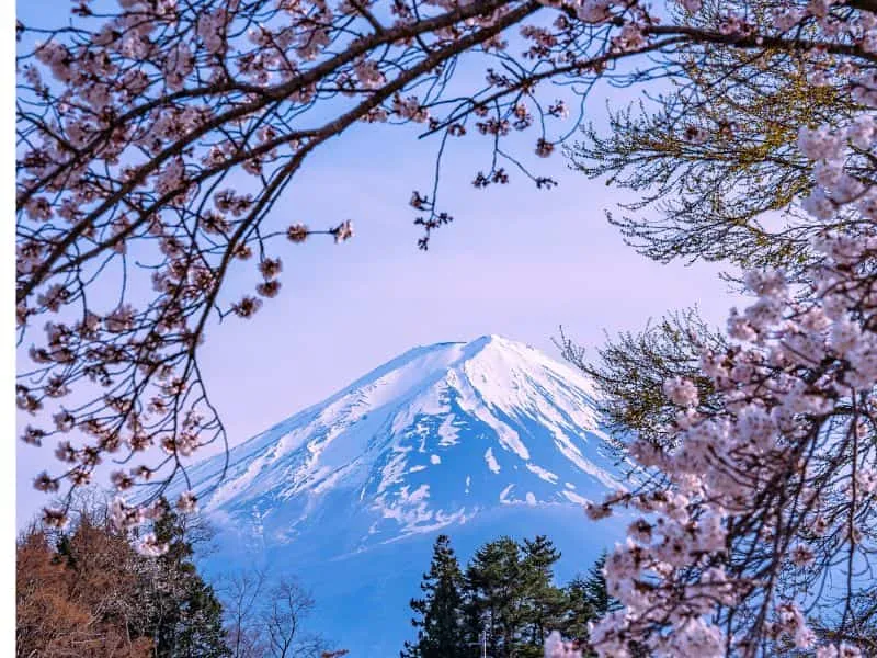 Panduan Tour Jepang: Musim &amp; Budaya