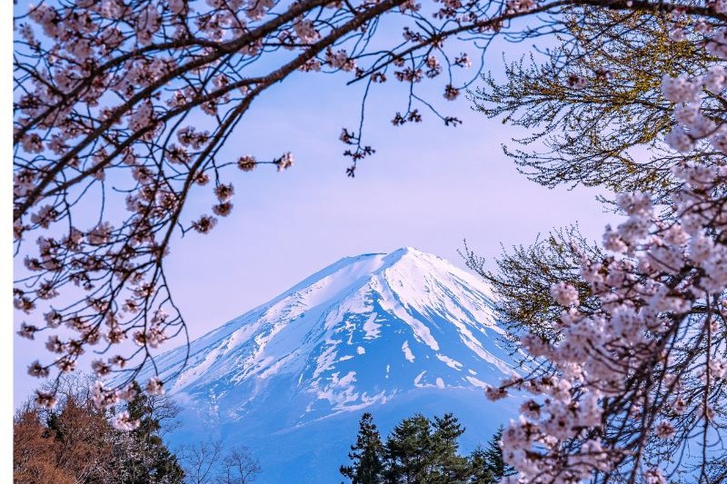 cara-liburan-ke-jepang_large.jpg