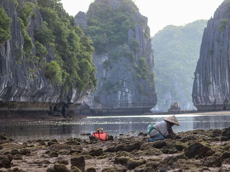 Cat Ba Island Tour Vietnam: Explore Pantai Cantik Vietnam!