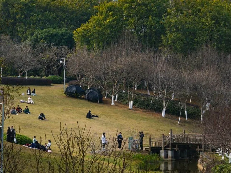 12 Tempat Wisata Cheongju Korea Selatan