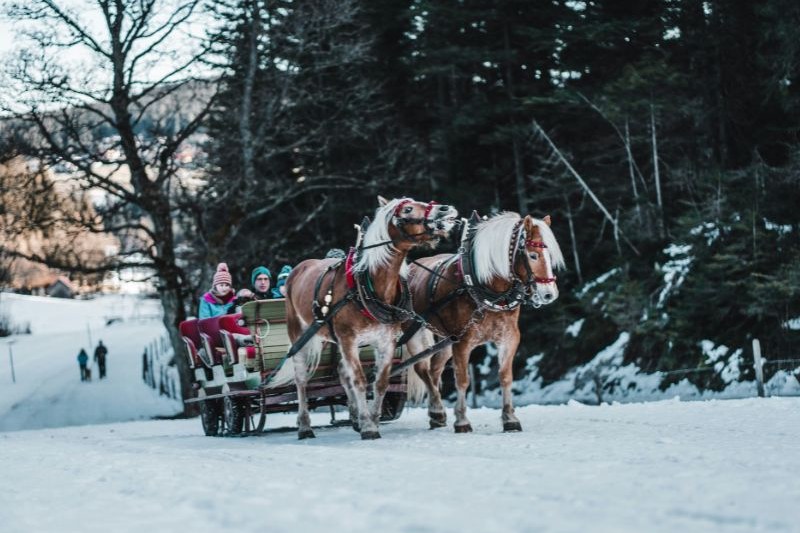 christmas-trips-for-family_large.jpg