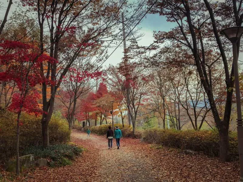 12 Rekomendasi Wisata Daegu Korea Favorit Traveler