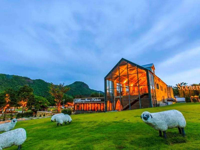Destinasi Wisata di Thailand: Hidden Gem Café di Suan Phueng