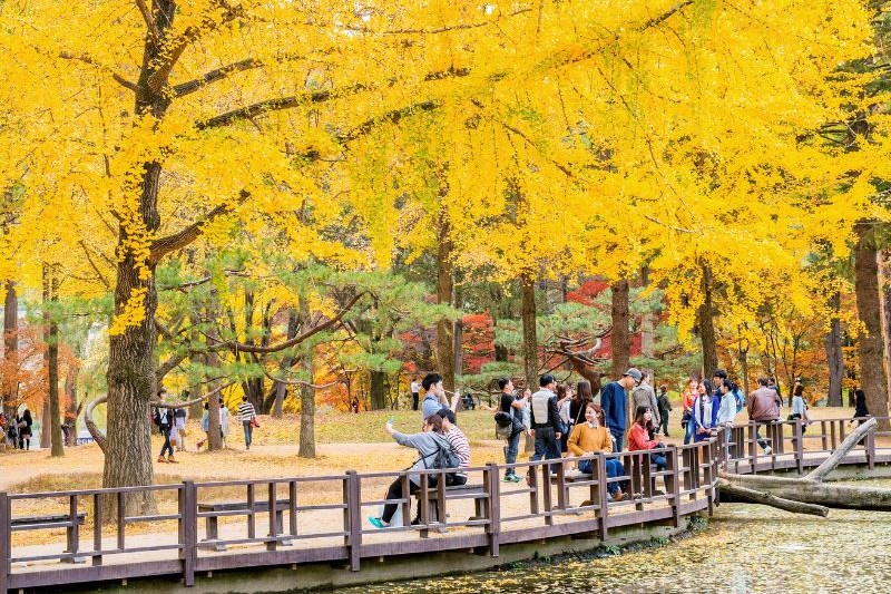 destinasi-wisata-korea-yang-romantis_large.jpg