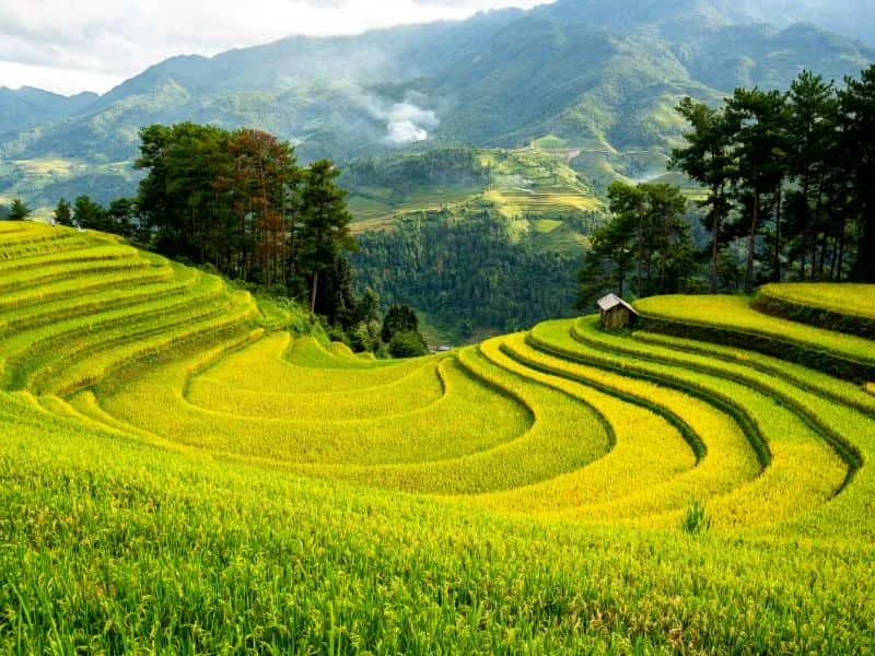 Explore Vietnam 2025- Paket Tour Mulai 7 Jutaan!