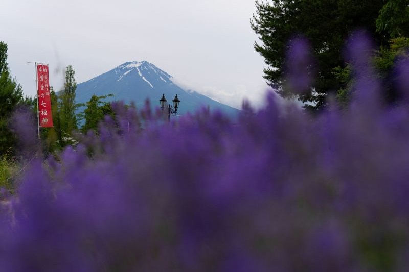 fuji-kawaguchiko_large.jpg