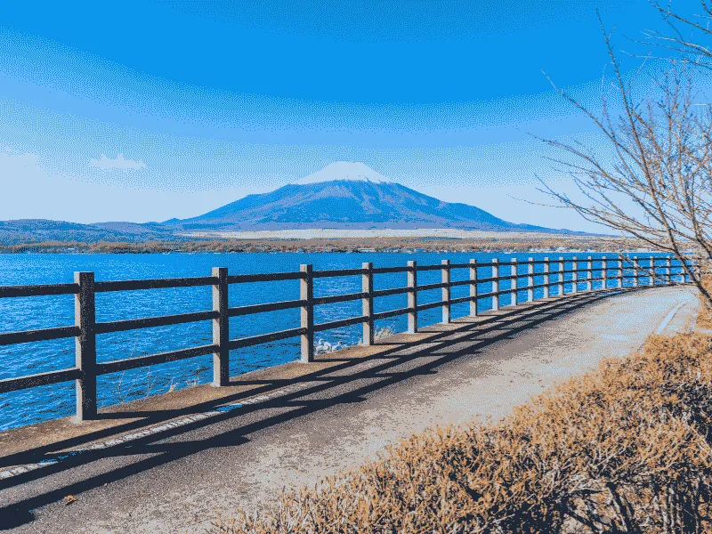 Fuji Shibazakura Tour | Paket Wisata Festival Bunga Jepang