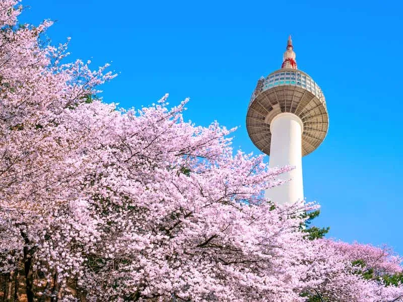 Gembok Cinta Korea - Panduan dan Tips Romantis!
