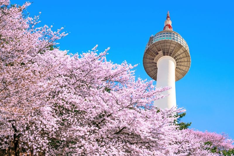 gembok-cinta-korea_large.jpg