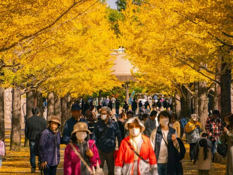 Golden Week Japan Tour 2026 - Mulai 20 Jutaan