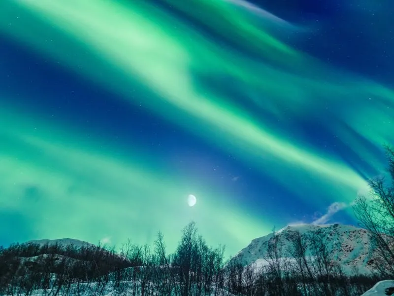 Harbin Aurora Tour 2026 - Mulai 20 Jutaan