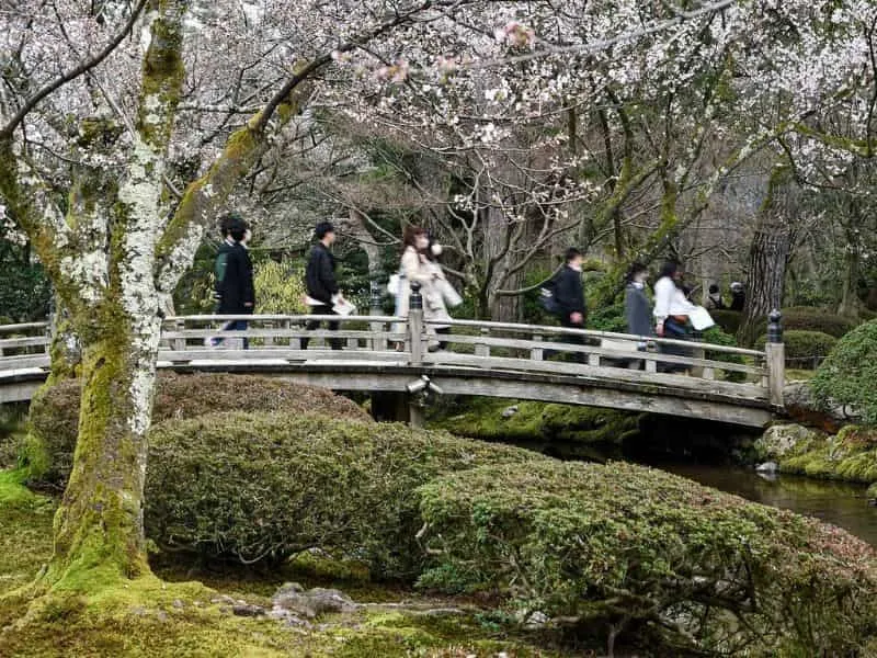 Temukan Harga Paket Liburan ke Jepang Terbaik untuk Impian Wisata Anda!