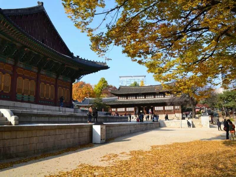 Harga Paket Tour Korea Murah 5 Hari, Mulai 12 Jutaan!