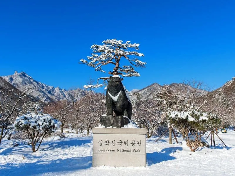 Itinerary Jepang 14 Hari Winter: Panduan Lengkap & Seru!