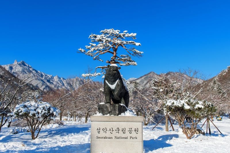 itinerary-jepang-14-hari-winter_large.jpg