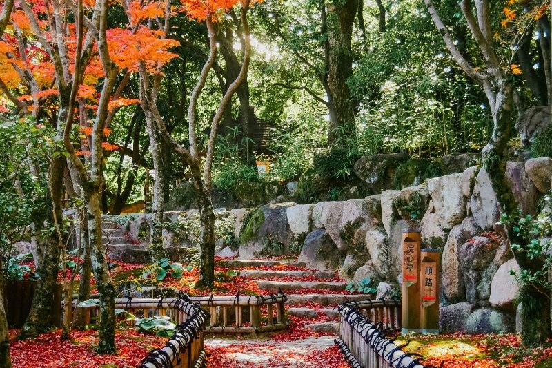 itinerary-jepang-muslim-friendly_large.jpg