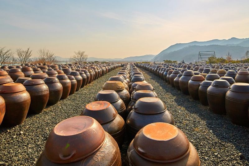 itinerary-tour-korea-callista_large.jpg