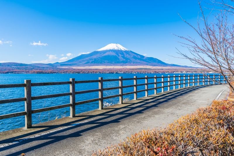 japan-hokkaido-tour_large.jpg