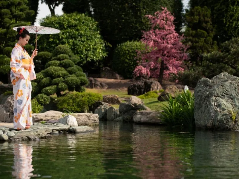 japan-wellness-retreat-2026.webp