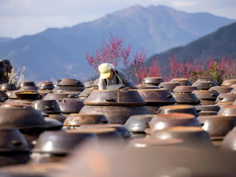 Jasa Private Tour Korea – Mulai 14 Jutaan!