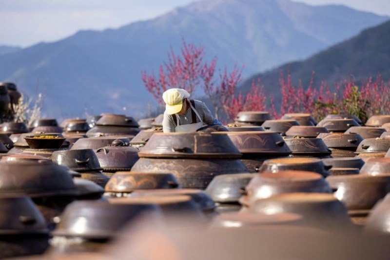 jasa-private-tour-korea_large.jpg