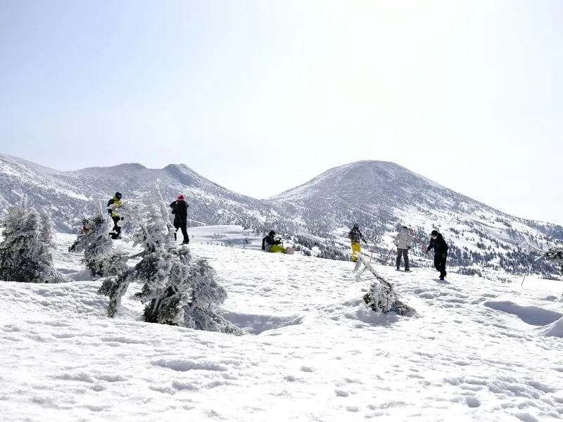 jeju-island-winter-tour.webp