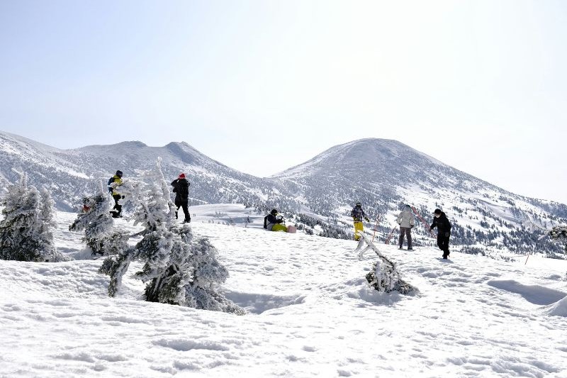 jeju-island-winter-tour_large.jpg
