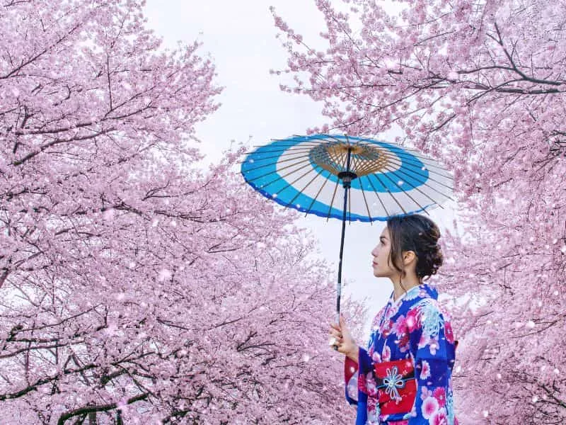 Jepang Bulan Juni Musim Apa? Cek Info &amp; Tour Mulai 12 Jutaan!