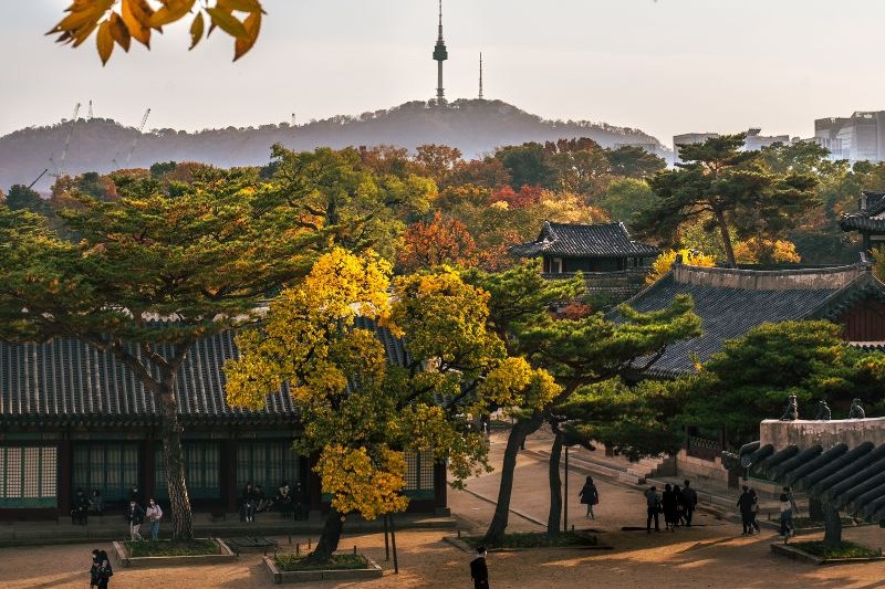 jung-gu-seoul-south-korea_large.jpg