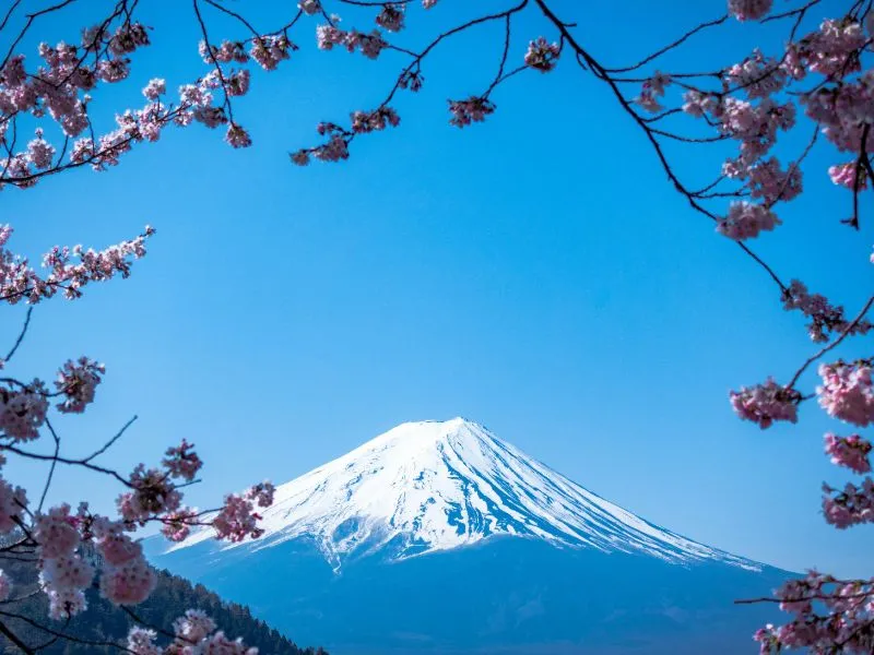 Juni Musim Apa di Jepang?