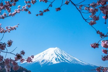 Juni Musim Apa di Jepang? Cuaca dan Kondisinya