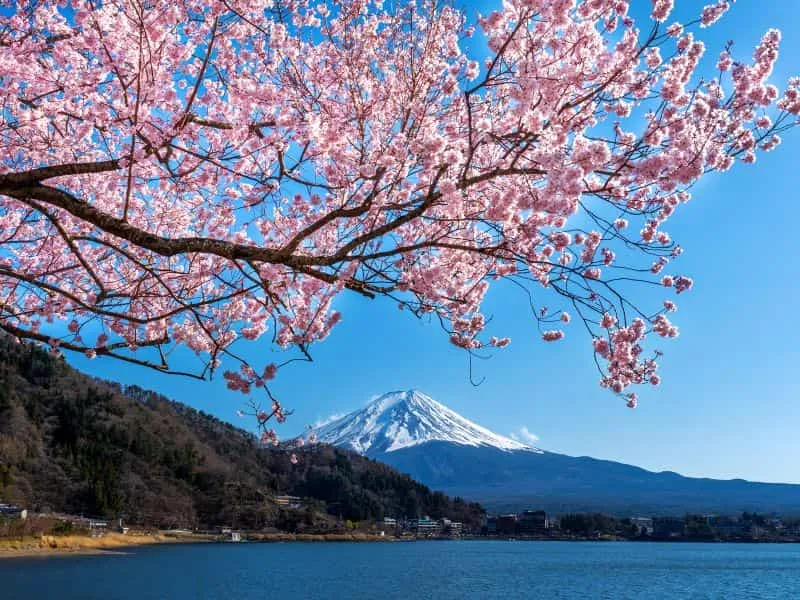 Keindahan Alam Jepang: Paket Tour Mulai 10 Jutaan!
