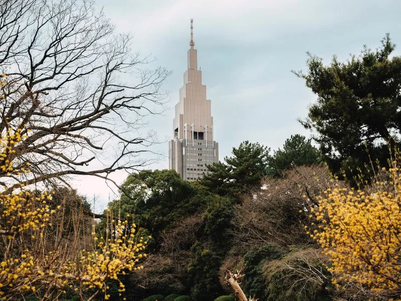 Konsorsium Tour Jepang 2026 - Mulai 15 Jutaan