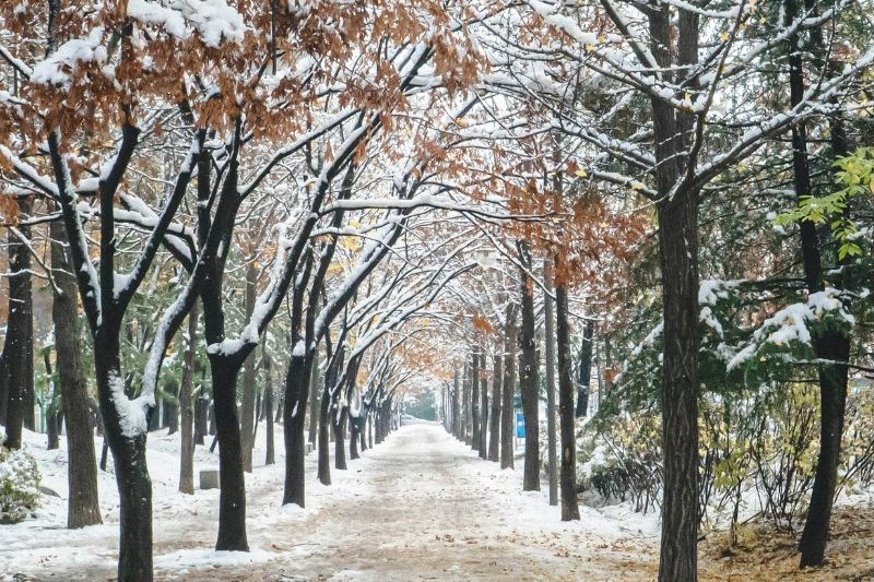 konsorsium-tour-korea_large.jpg