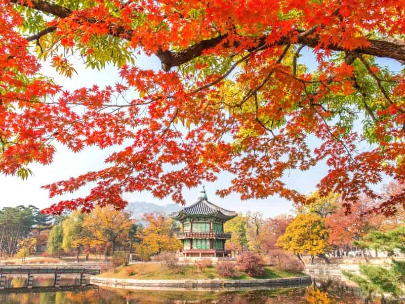 Korea Paling Bagus Bulan Apa? Pilih Musim & Harga Tour Murah!