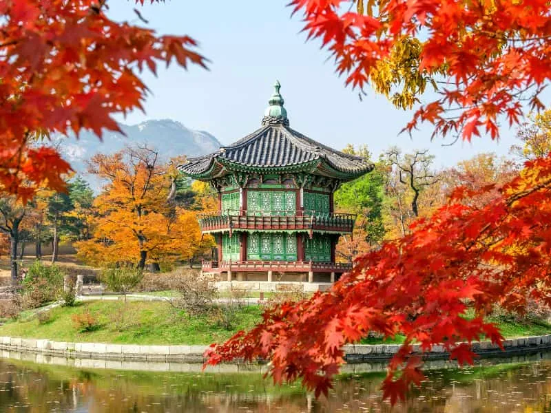 Korea Private Tour Callista Mulai 12 Jutaan!