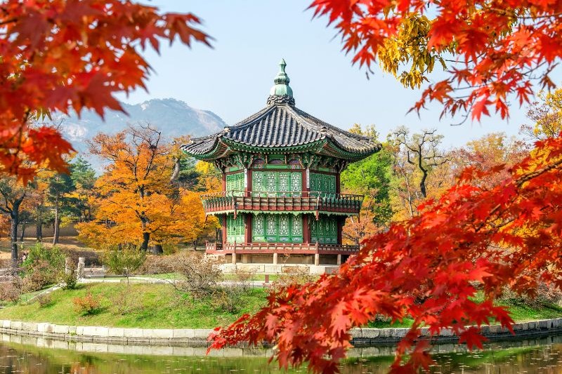korea-private-tour_large.jpg